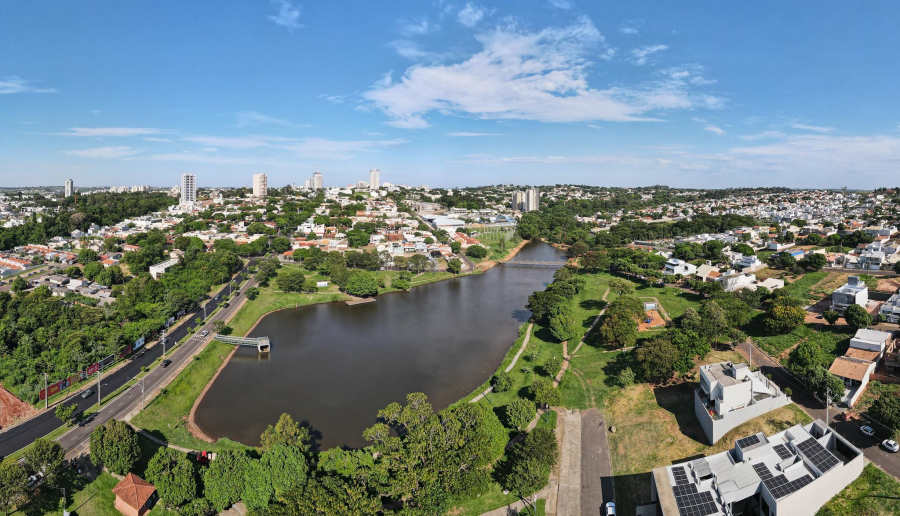 Umuarama reforça obrigatoriedade de arborização urbana: proprietários devem plantar árvores ou arcar com custos