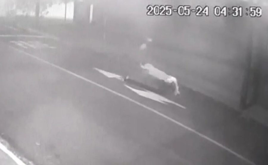 Homem é morto em pensionato e corpo é desovado em carriola no centro em cidade do Paraná 